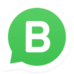 Whatsapp Business Icon