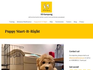 Web K9kampong
