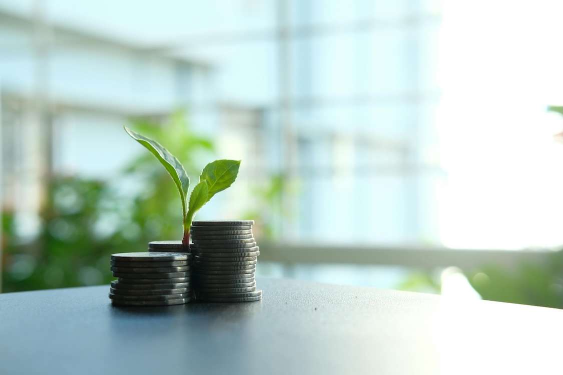 Pexels smb startups